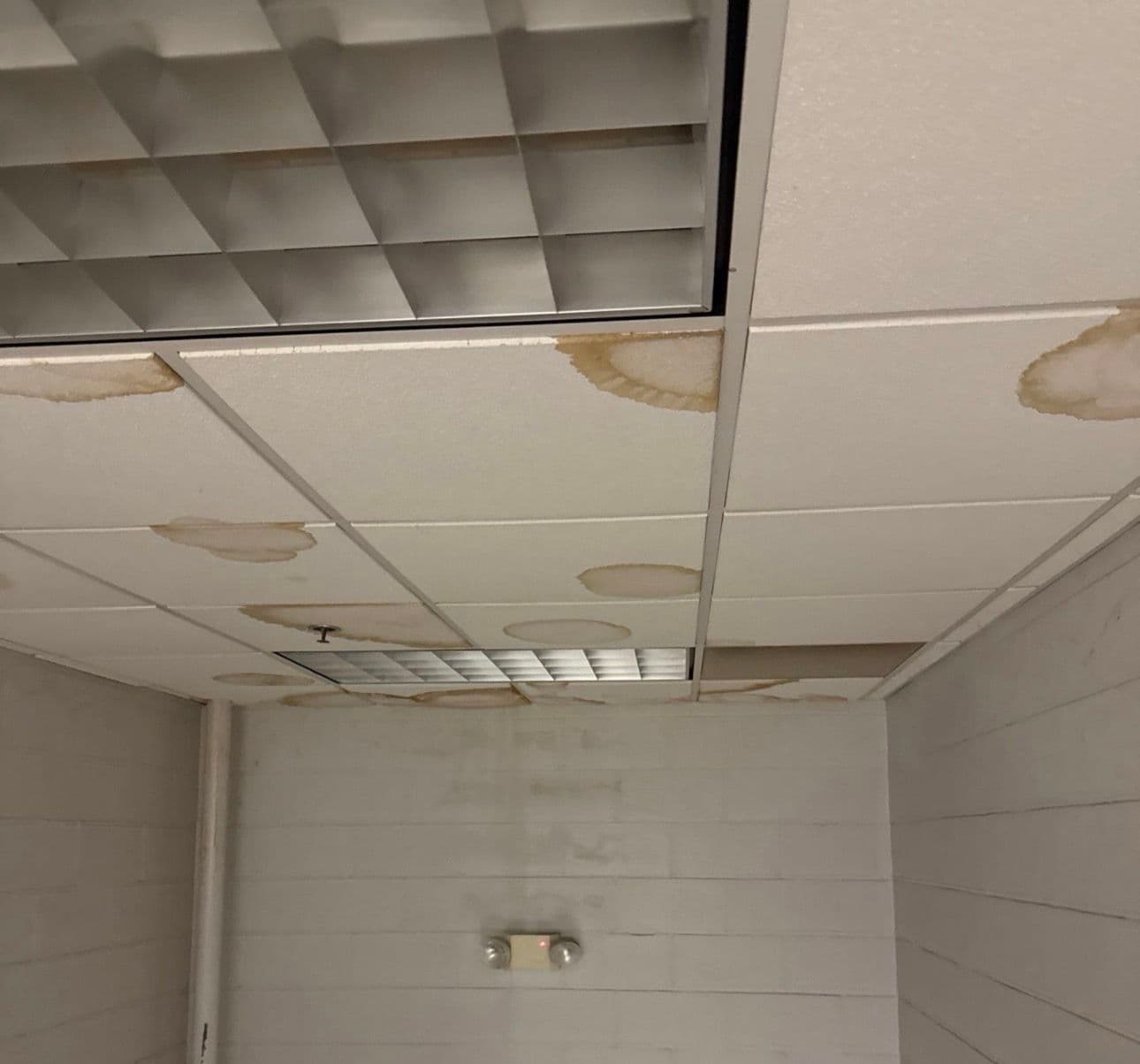 Project Say Goodbye to Water Stains in Your Office image