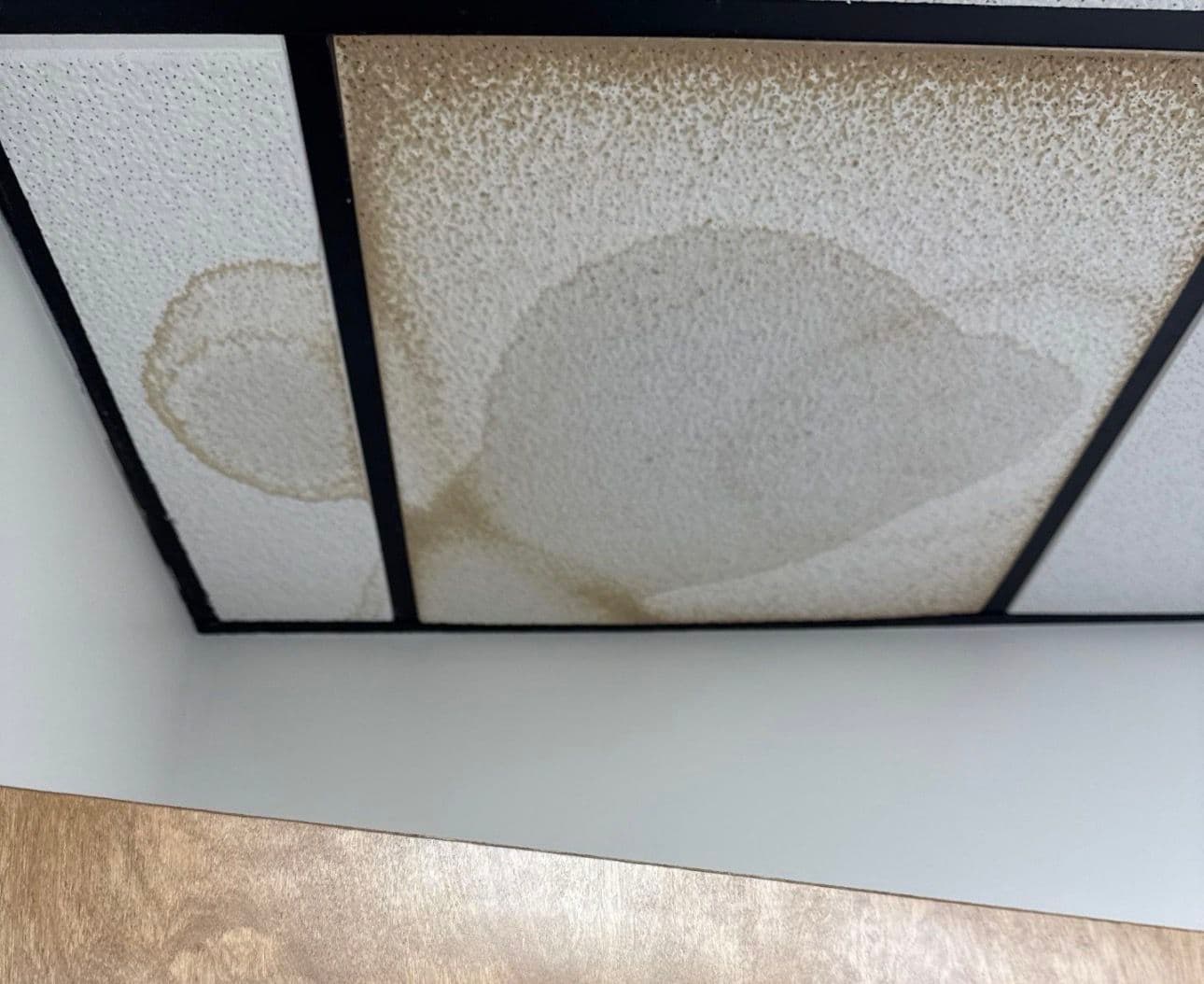 Gallery photos for Say Goodbye to Water Stains in Your Office: Image #1