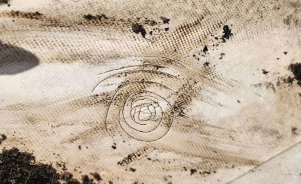 Gallery photos for Storm Damage on Commercial Flat Roofs Is Easy to Miss: Image #2