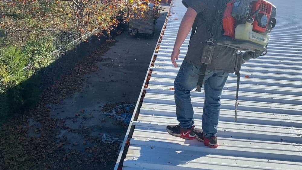 Person with leaf blower standing on a metal roof, surrounded by autumn leaves.
