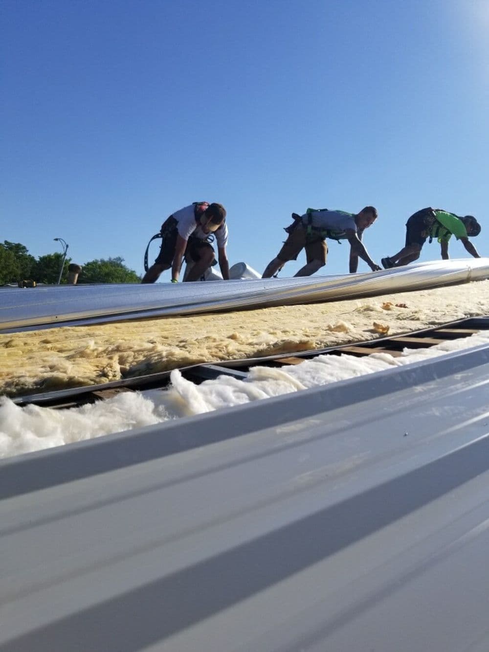 Roofers installing insulation on a sunny day, showcasing teamwork and construction activity.