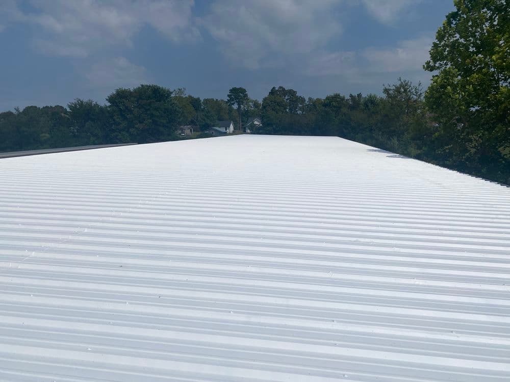 White metal roof with a clear sky and trees in the background, showcasing a flat design.