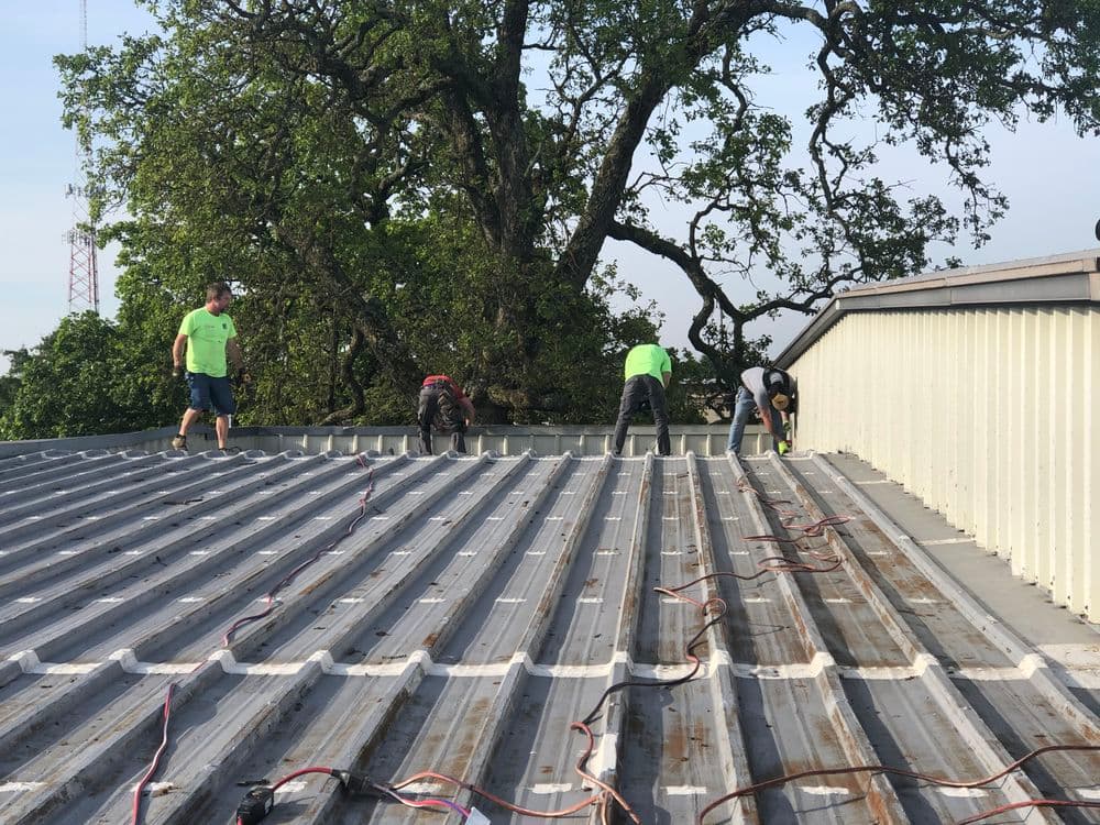 Workers installing a metal roof with tools on a sunny day surrounded by trees.