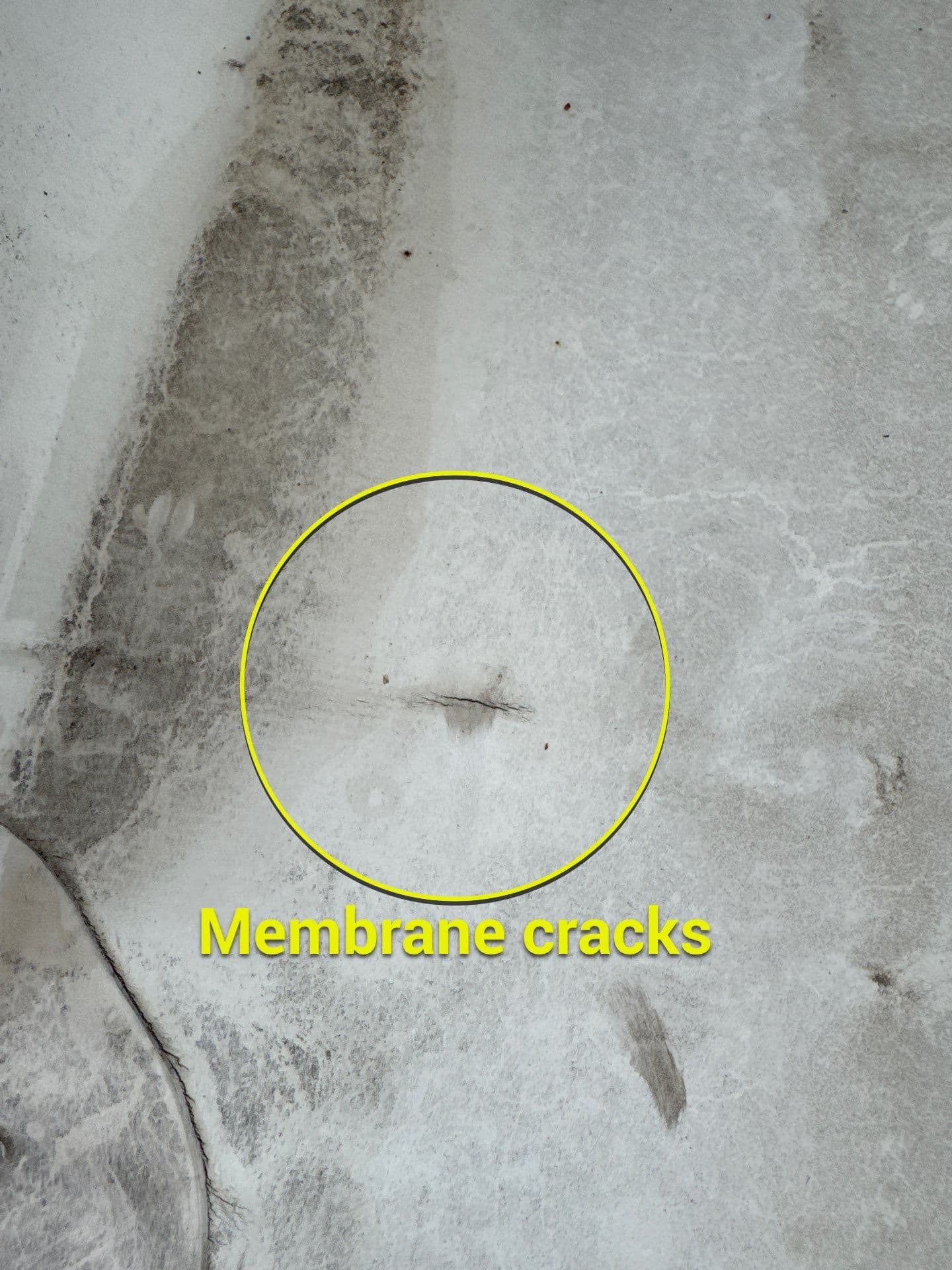 Gallery photos for Preventing Flat Roof Issues with Regular Maintenance: Image #3