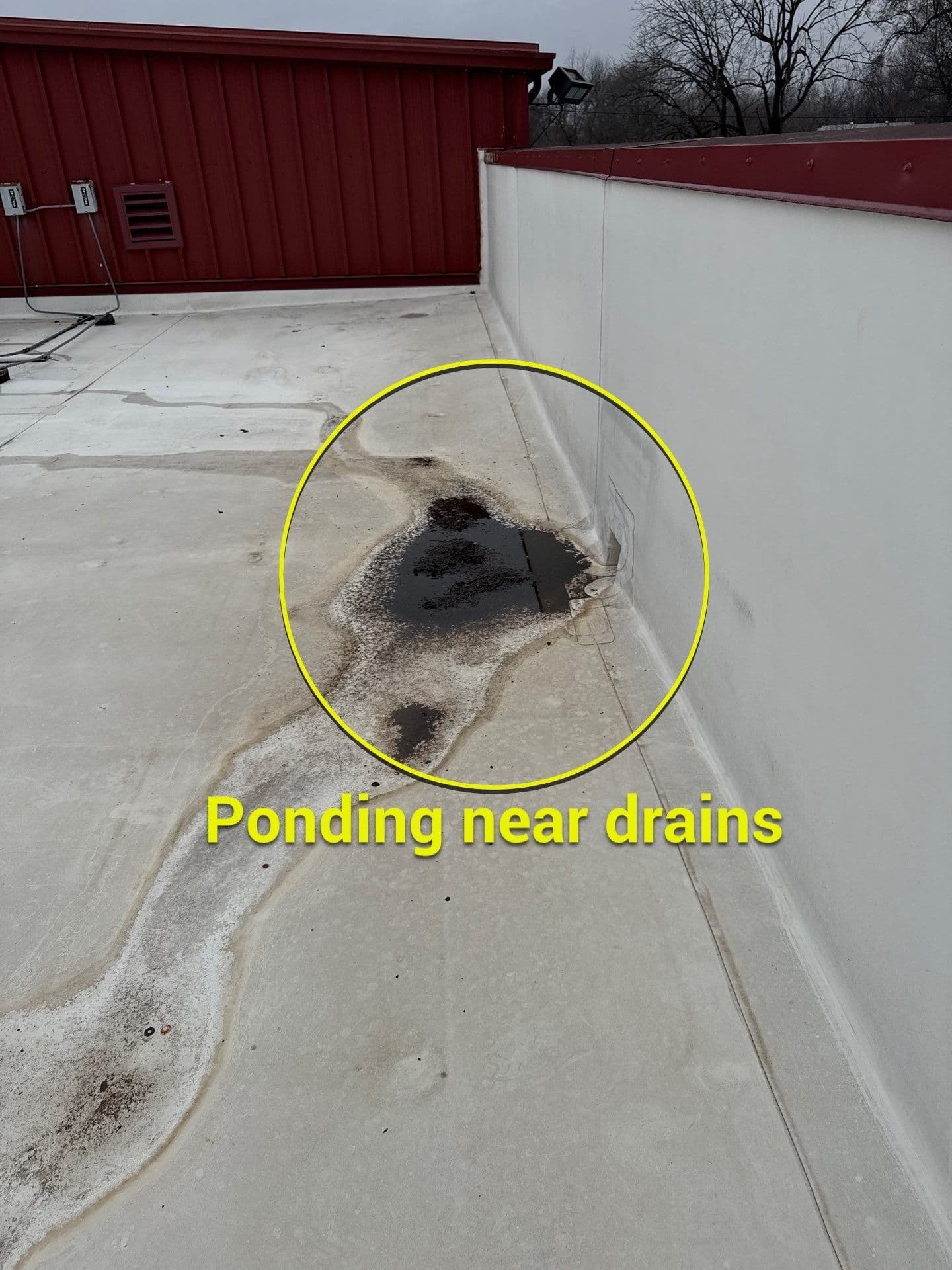 Preventing Flat Roof Issues with Regular Maintenance image